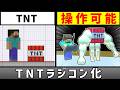 TNTの起爆タイミングを制御できるようにしたい【スマブラSP】