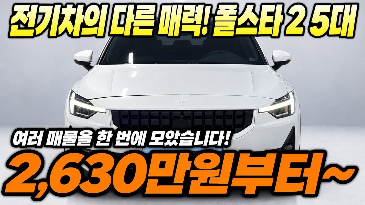 실패 없는 폴스타 2 중고차 쇼핑! 지금 바로 확인해야 할 매물 5대