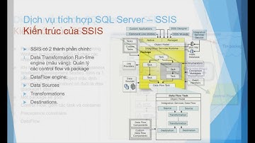 BÀI TẬP KỸ NĂNG Môn IT209   Hệ quản trị dữ liệu SQL server
