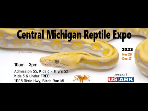 Central Michigan Reptile Expo + Sling Update - YouTube