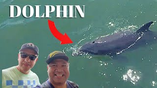 Inches Away from Dolphin at Dolphin Exploration Tour!