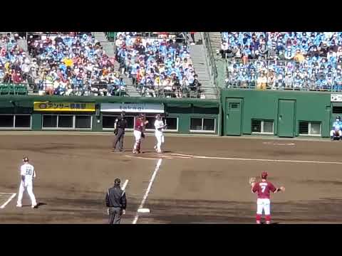 20220416　今宮健太 第3打席の登場曲【｢北風と太陽｣／E-girls】　6回ｳﾗ　福岡ｿﾌﾄﾊﾞﾝｸﾎｰｸｽ@北九州市民球場･ﾗｲﾄ外野