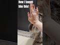 Training my boss! #cat #funnycats #meme #cutecat #cute #mainecoon