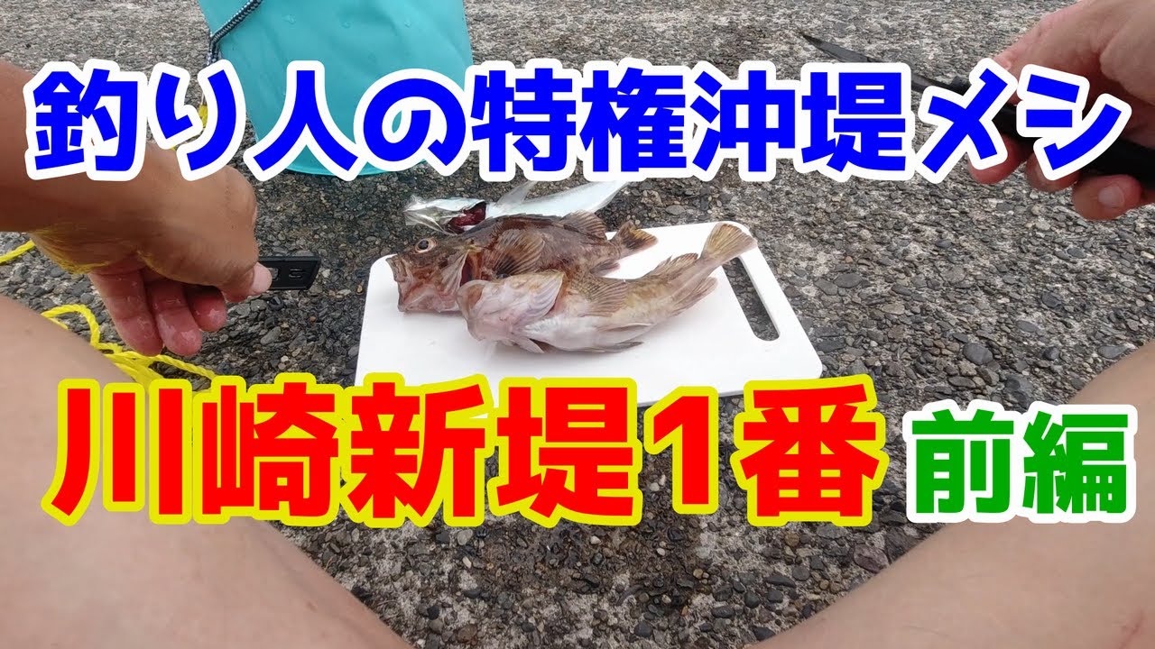 Kawasaki Shintsumi No. 1] The freshest fish caught and a meal
