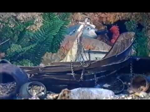      1 دانا والبحر