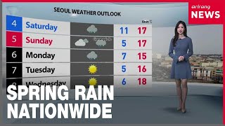 [Weather] Cherry blossoms in full bloom, spring rain nationwide starting tonight