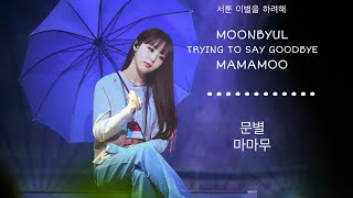 [문별] 서툰 이별을 하려해 / TRYING TO SAY GOOD BYE