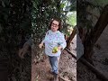 O café não deixou eu escolher goiaba,