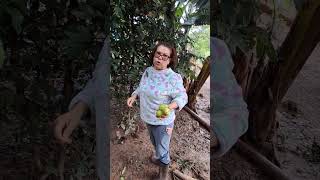 O café não deixou eu escolher goiaba,