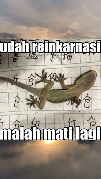 Memes Anime Sad moment of reinkarnasi dari Kaori malah mati lagi dead cry Sadly in your lie in April