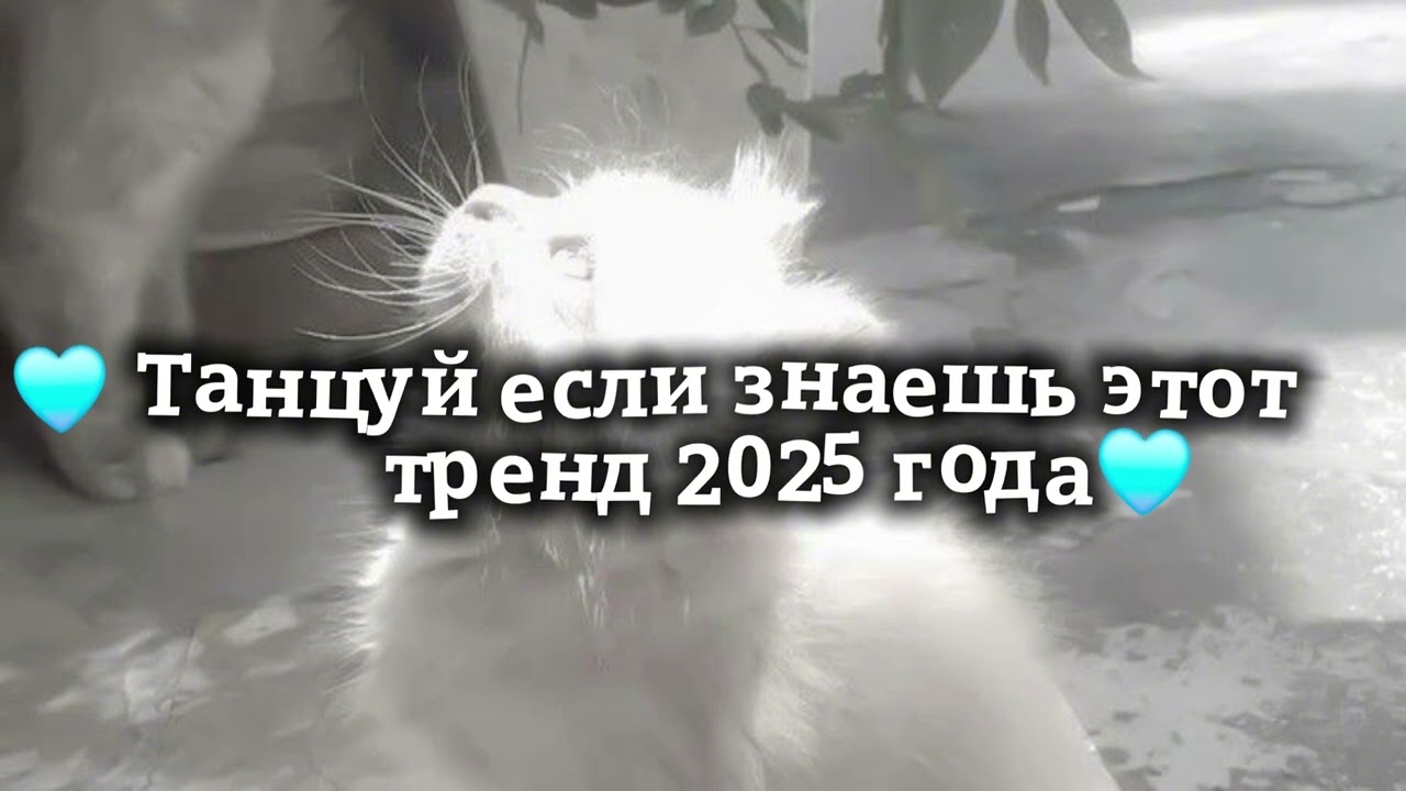 ⁣🩵ТАНЦУЙ ЕСЛИ ЗНАЕШЬ ЭТОТ ТРЕНД  2025 ГОДА 🩵