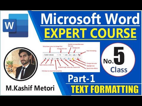 Text Formatting in Microsoft word-2016 Class No.5  Part 1 Urdu/Hindi Tutorial
