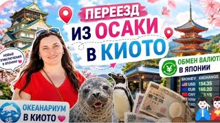ПЕРЕЕЗД ИЗ ОСАКИ В КИОТО. ОКЕАНАРИУМ В КИОТО ПРИВЁЛ МЕНЯ В ШОК. Обмен валюты в 7 ELEVEN. Новая сумка