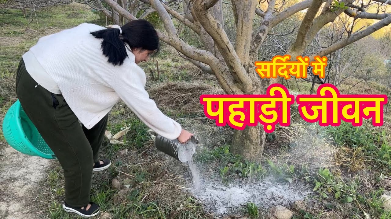 सर्दियों में शिमला में गाँव का जीवन😍 Village lifestyle Vlogs
