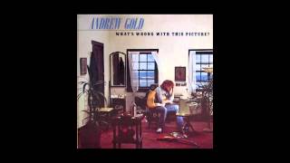 Andrew Gold DO WAH DIDDY DIDDY by Manfred Mann 1976 Whats Wrong With This Picture