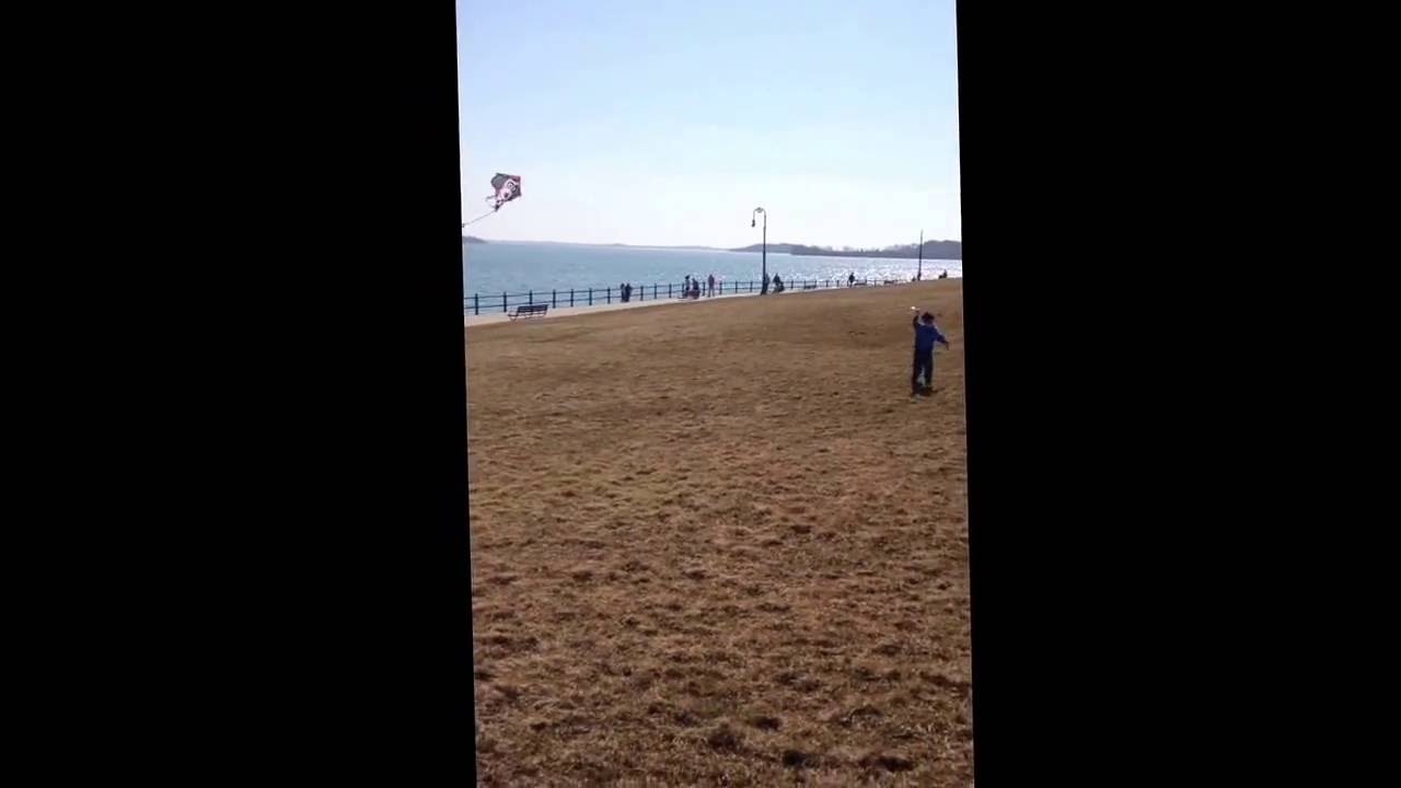 Castle island kites YouTube