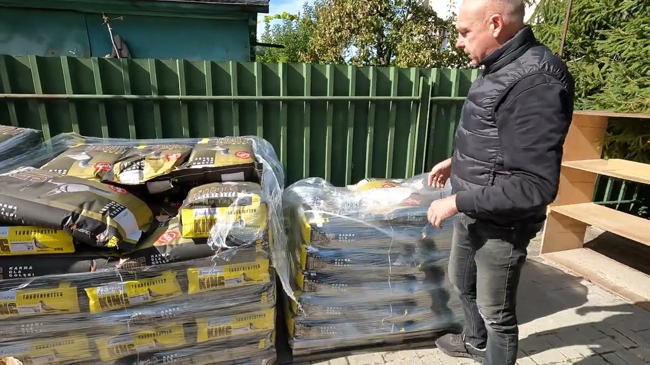 Tanio Dobrej jakości Karmy dla gołębi