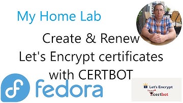 Create a FREE Domain and a Secure SSL Let
