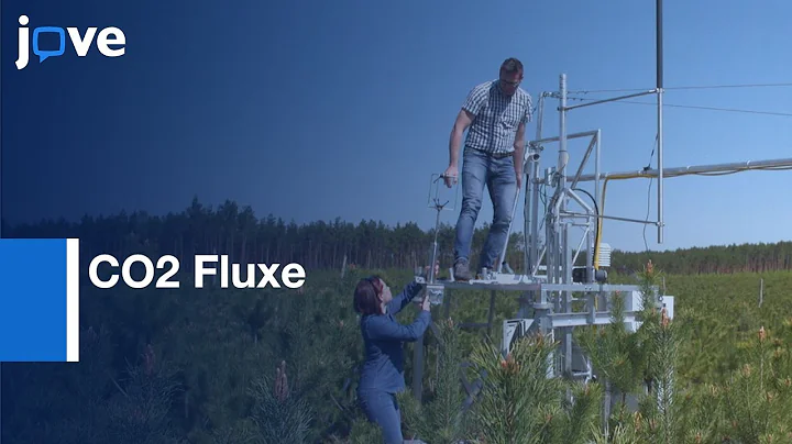 CO2 Fluxes Measurement at Non-Ideal Eddy Covariance Sites | Protocol Preview