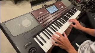 Korg Pa700 61 Key Arranger Workstation Review