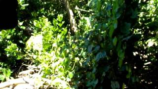 Scenics and PRAYER -- VIUBANI Island (NASELESELE Village)