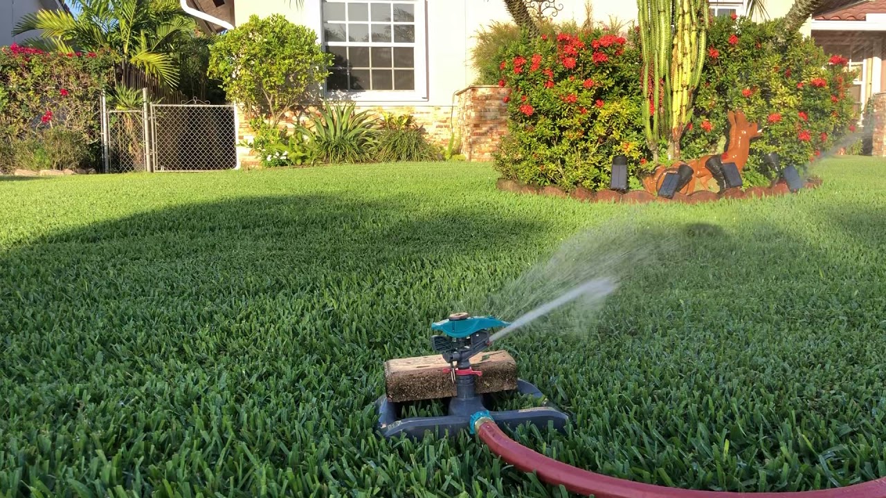 Evening lawn watering St Augustine Grass YouTube