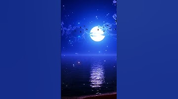 قران كريم بصوت اسلام صبحي سوره لقمان #اسلام_صبحي #تلاوة_خاشعة