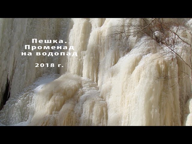 Г. Пухова и М. Приходько - Белый песец