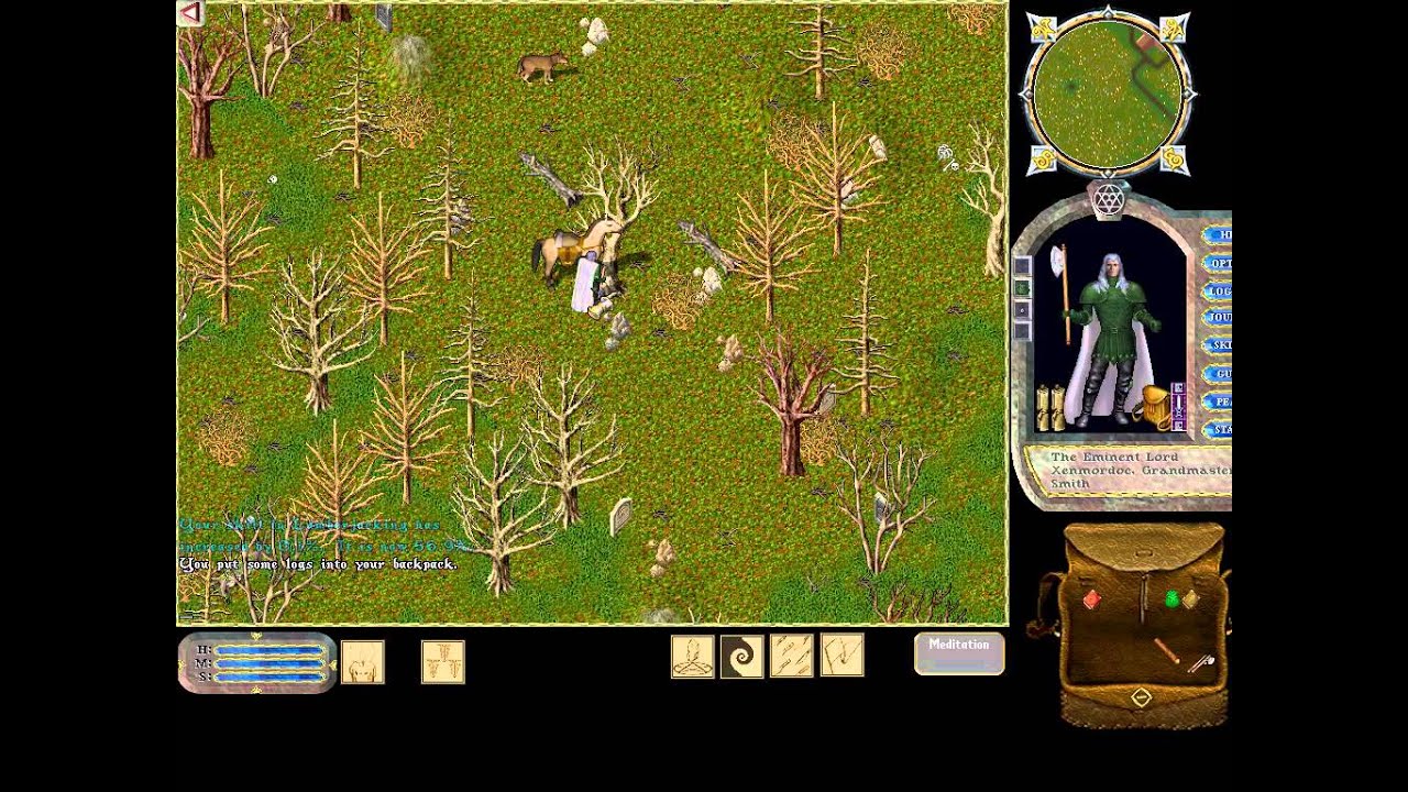 Ultima Online 066 Lumberjack In Fel Moonglow YouTube