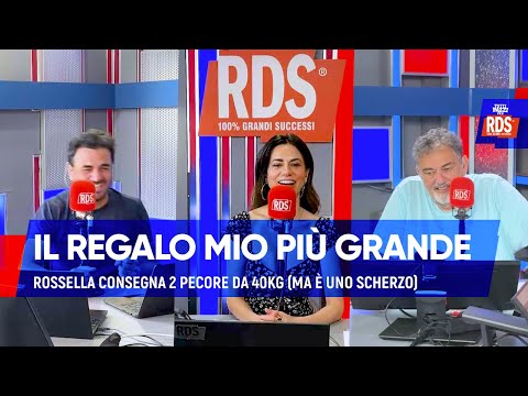 Video Rossella Brescia consegna 2 pecore da 40kg (ma è uno scherzo)