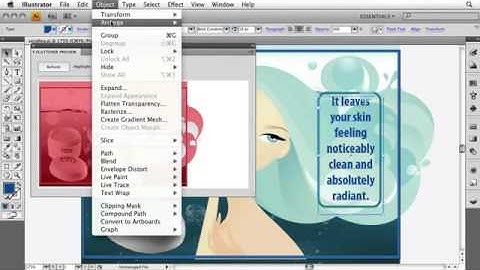 Adope Flash Tutorial CS4 Using the Flattener Preview
