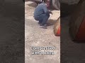 Truck Exhaust vs. Metal Barrel: Unbelievable Power! #worker #process #truck #exhaust #pressure