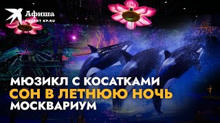 Мюзикл на воде с косатками «Сон в летнюю ночь» | Москвариум на ВДНХ 2022