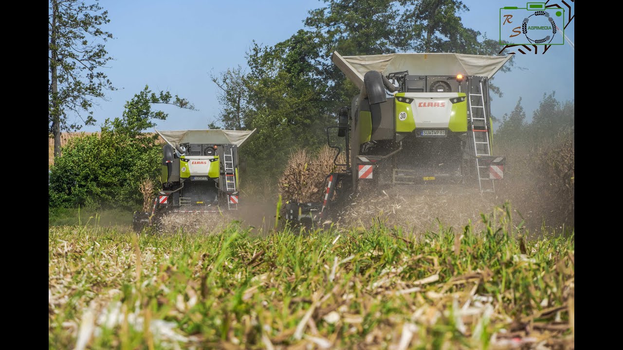 16 Reihen auf einen Schlag/ 2x Claas Trion 730/ 2x Olimac Dragon