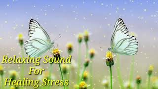 Beautiful Piano Music,Relaxing Music for Studying, Relaxation or Sleeping?