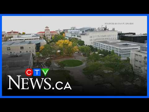 Winnipeg researcher <strong>looking</strong> into city’s tree canopy