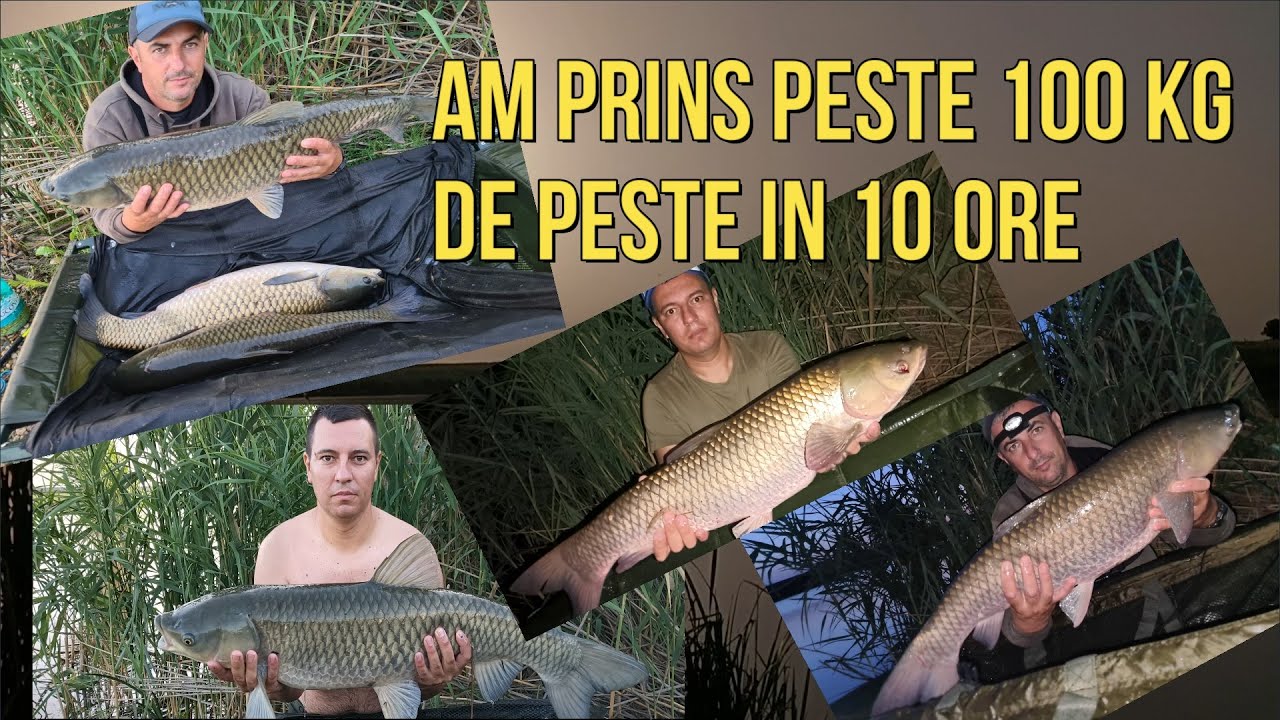 O SUPER PARTIDA PE BALTA PLINA MOVILITA,CU PESTI BATAIOSI,CEA MAI BUNA PARTIDA DIN ULTIMII ANI