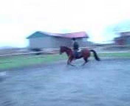 Tia Rodney hopper ca 1 meter