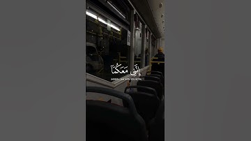 قال لا تخافا إنني معكما أسمع وأرى | سورة طه الآية 46 - محمد دیبیروف