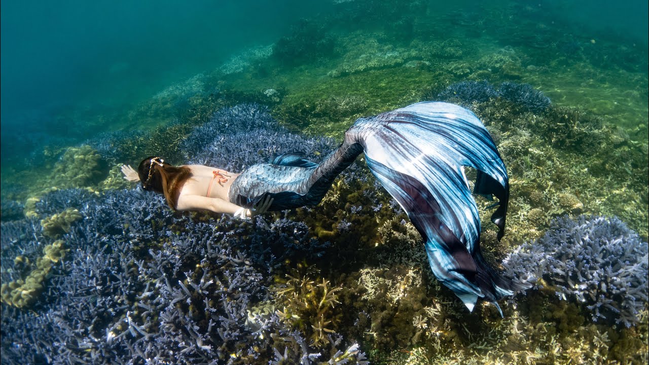 2021.09.03 七美 美人魚