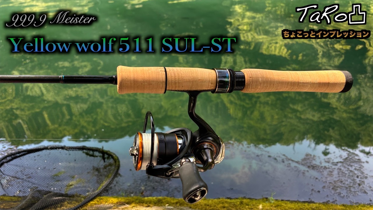 Finally, a review of the long-awaited solid tip rod! Yellow Wolf