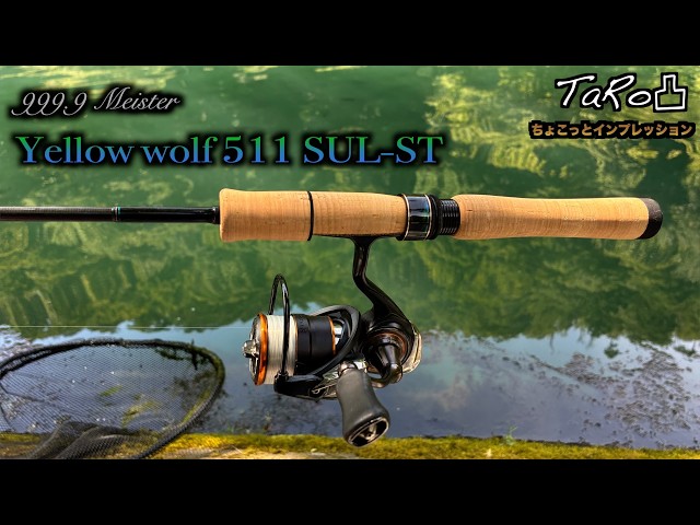 The new Yellow Wolf is here! - YouTube