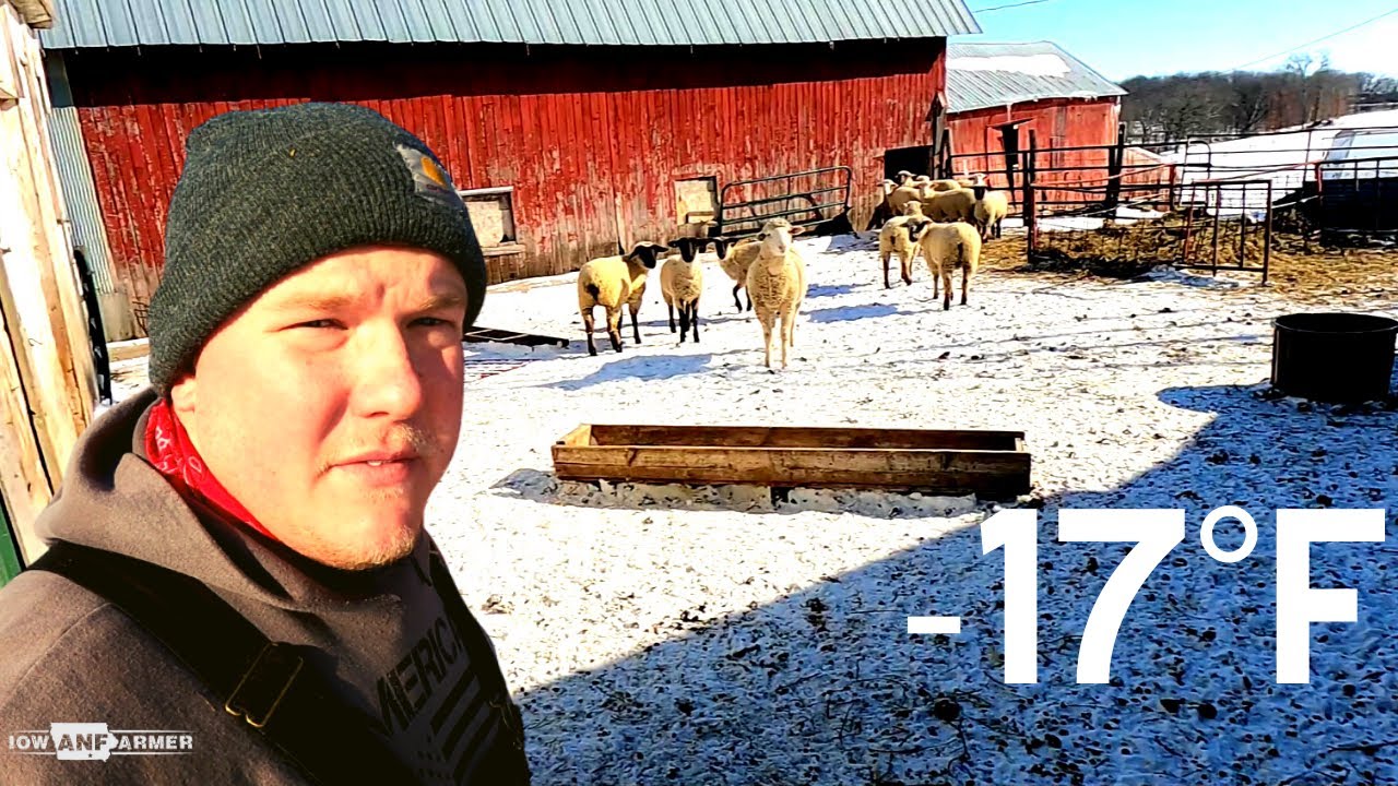 DEADLY COLD - Livestock farming BELOW ZERO - Part 1. - YouTube