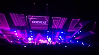 19/9/2558 แสตมป์ฟ้าผ่า Guest Poly Cat