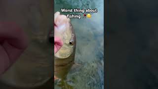 It’s not your fault🥀 #carp #carpfishing #fallfishing