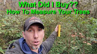 How To Measure & Cruise Timber