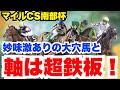 【南部杯】超自信あり!軸は一択の選択肢!元騎手最終見解
