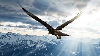Fly beyond limits