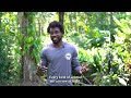 Our Life for the Sloths 🦥 Sloth Crossings Project
