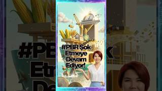 Borsada 17 Milyarlık Dev Fon Hangi Hisseleri Aldı #borsaistanbul #aknurbayram #yatirimfonu #pbr